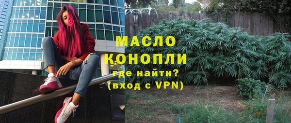 твердый Арсеньев