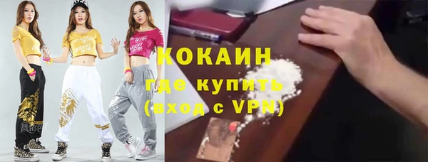 твердый Арсеньев