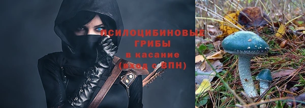 прущие крисы Аркадак